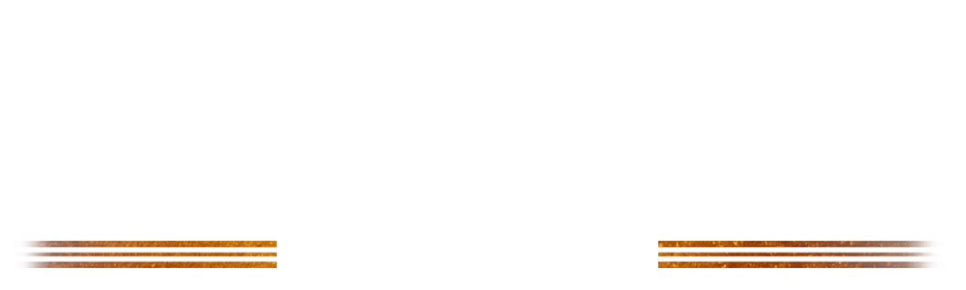 SQUEEZE MASTER PRO